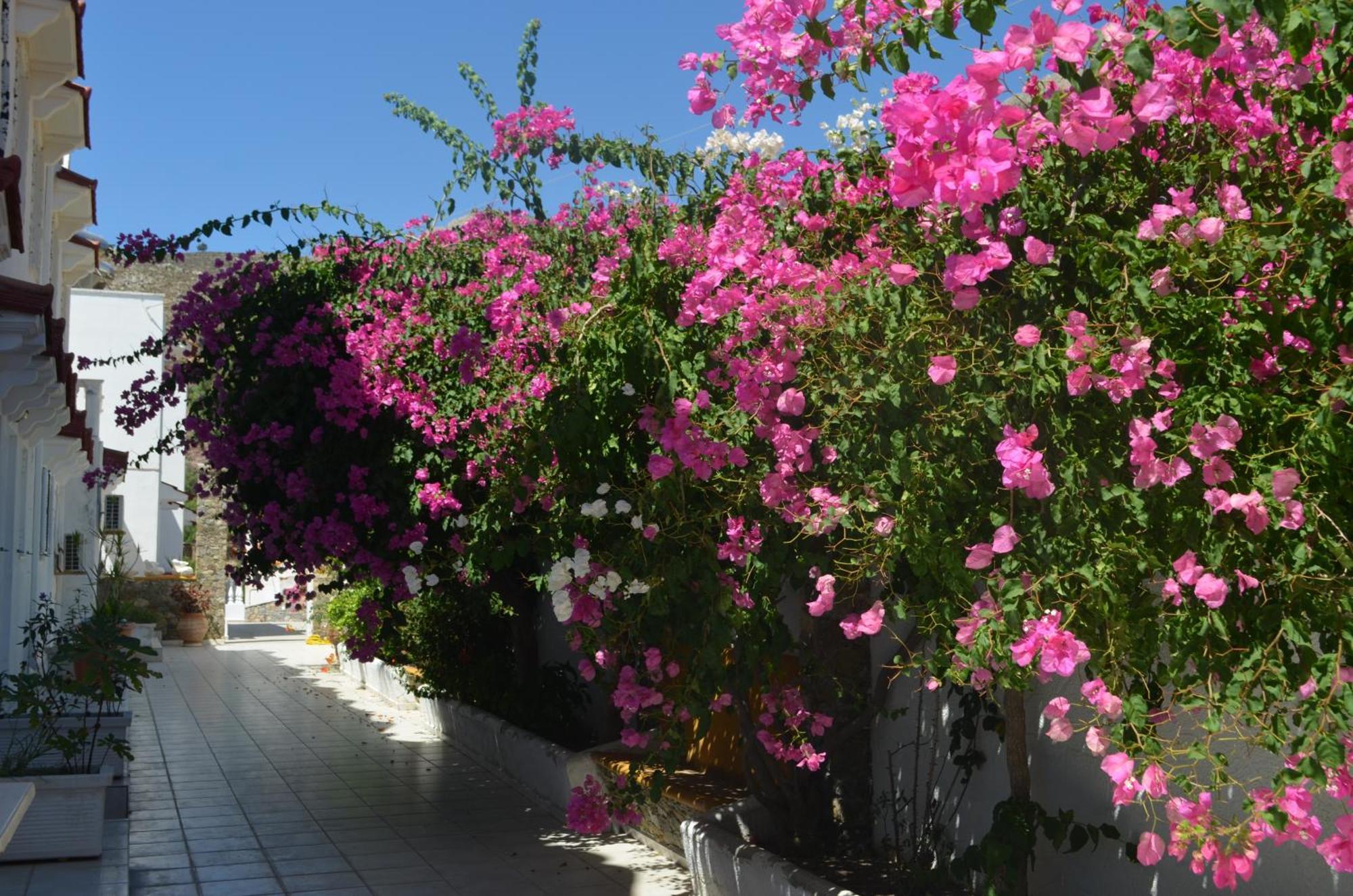 Livadia  Nikos Studios מראה חיצוני תמונה